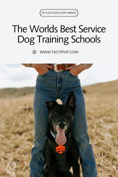 a dog sitting on the back of a person's lap with their tongue hanging out