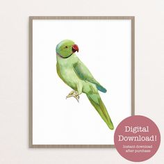 a green bird sitting on top of a white wall next to a pink circle frame