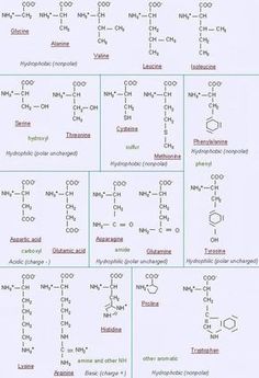 an image of the chemical formulas for different types of substances and their names in english