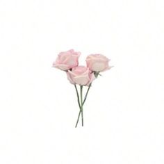 three pink roses sitting on top of each other in front of a white background,