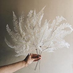 a hand holding a fake white plant in front of a wall