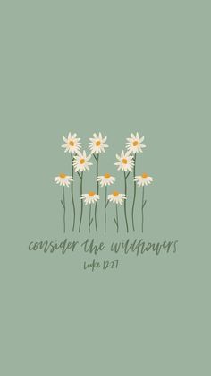 daisies with the words,'consider the wildflowers'in green and white