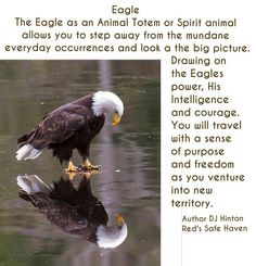 an eagle is standing in the water with its reflection on it's body and has words written below