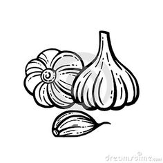 an ink drawing of garlic and cloves