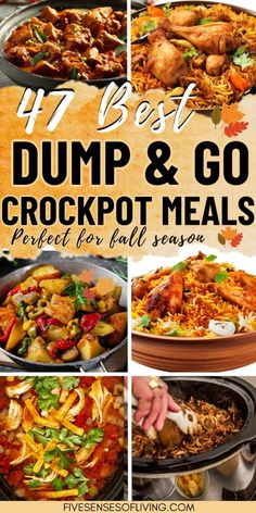 Make dinner effortless with these Slow Cooker Dump Meals, perfect for busy days! Just toss in the ingredients and let your Crockpot do the work with these easy dump recipes, including delicious casseroles and ground beef dishes. These freezable meals are ideal for meal prepping and are perfect for cozy fall dinners. Simplify your cooking routine with these convenient and tasty Slow Cooker recipes. Easy Crockpot Fall Recipes, One Dump Crockpot Meals, Long Crockpot Recipes, Dump And Bake Crockpot Recipes, Meal Prep Dump Meals, Dump Bag Recipes, Throw In Crockpot Meals, Dump And Go Crock Pot Meals, Crockpot Bag Meals