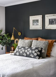 a bed with two framed pictures on the wall above it and a potted plant