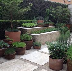 a garden filled with lots of plants next to a tall brick wall on top of a sidewalk