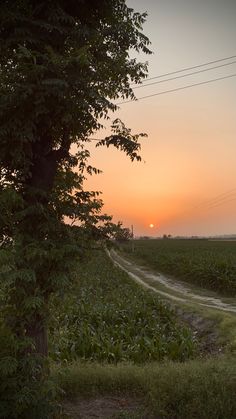 the sun is setting over an open field with a dirt road in front of it