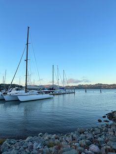 there are many boats that are docked in the water at the dock and some rocks on the shore