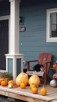 pumpkins and gourds sit on the front porch of a house with a cat