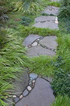 a stone path is surrounded by grass and rocks in the middle of a garden with lots of greenery