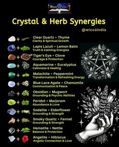 Crystal And Herb Pairings, Psychic Herbs, Green Witch Spells, Crystals For Plants, Curated Content, Magic Herbs