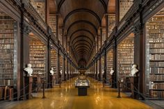 Trinity College Library Wall Mural-Wall Mural-Eazywallz Library Wall Mural, Dublin Library, Trinity College Library, Ribbed Vault, Architecture Baroque, Trinity College Dublin, Philip Johnson, Beautiful Library, Great Philosophers