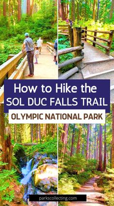 how to hike the sol duc falls trail in olympic national park