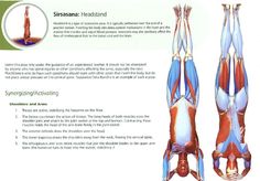 the muscles are labeled in this diagram