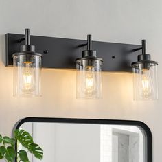 a bathroom vanity with three lights and a mirror on the wall next to a potted plant