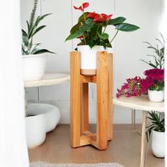 there is a plant that is in the vase on the stand next to the table