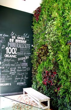 a green wall with writing on it next to a glass table and bench in front of the chalkboard