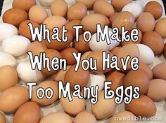 what to make when you have too many eggs