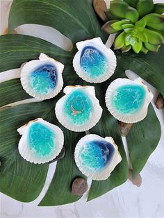 seashells with blue and white designs on them sitting on a green leafy plant