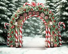 an arch decorated with candy canes and christmas decorations in front of snow covered trees