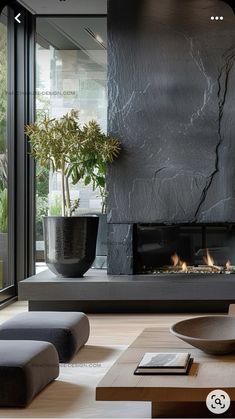 a living room filled with furniture and a fire place next to a large glass window