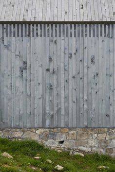 a sheep standing in front of a wooden fence