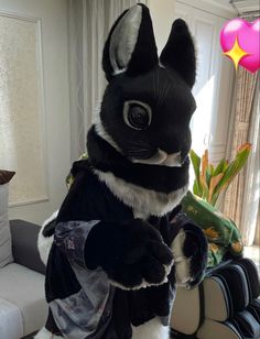 a large black and white rabbit standing on its hind legs