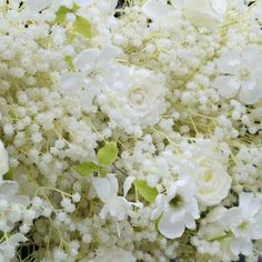 a bouquet of white flowers with green leaves