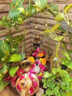 there are many different plants in the potted planter and one candle is lit