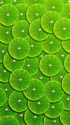 a green background with lots of leaves in the shape of waterlily circles on top of each other