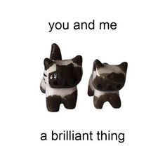 two black and white ceramic cats with the caption you and me, a brilliant thing