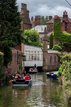 several people are in small boats on the water near some buildings and trees with flowers