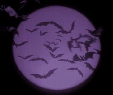 Purple aesthetic Purple Aesthetic Vampire, Villian Aesthetic Purple, Purple Bats Background, Goth Moon Aesthetic, Purple Grunge Aesthetic Pfp, Purple Bat Aesthetic, Purple Emo Widgets, Light Purple Halloween Aesthetic, Black And Purple Goth Aesthetic