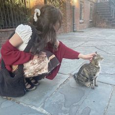 A Cat, See More, A Woman, My Favorite, Books