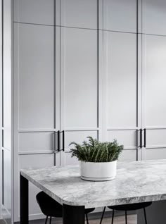 a potted plant sitting on top of a marble counter in front of white cabinets