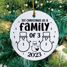 a family ornament hanging on a christmas tree