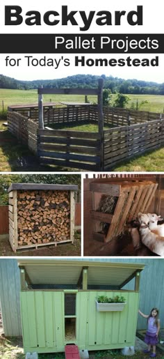 the backyard pallet projects for today's homesead are easy to make