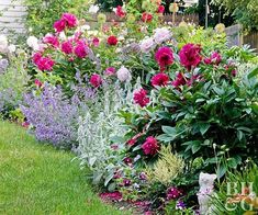 a garden filled with lots of colorful flowers