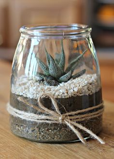 a glass jar filled with sand and plants