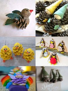 several different pictures with pine cones and birds