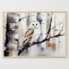 an owl is perched on a tree branch in the woods watercolor painting by numbers