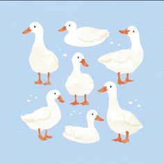 a group of ducks standing next to each other on top of a blue surface with bubbles