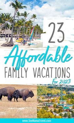 two buffalos walking on the beach with text overlay that reads 23 adorable family vacations