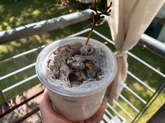 a person holding up a plastic cup filled with ice cream and a small flower sticking out of it