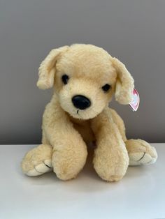 a small stuffed dog sitting on top of a white table next to a gray wall