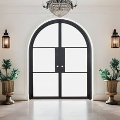 an arched doorway with potted plants in front of it and a chandelier hanging from the ceiling