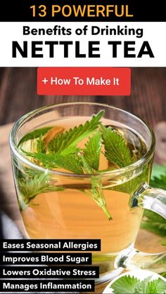 Nettle Tea: Benefits and How To Make It Nettle Tea Benefits, Nettle Benefits, Nettle Tea, Digestive Bitters, Drinks Recipe, Healthy Hormones, Herbal Teas Recipes, Tea Health Benefits, Emergency Preparation