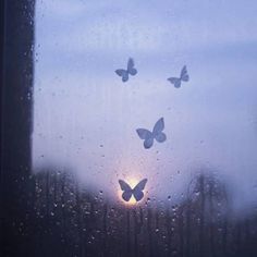 three butterflies are flying in the air through a window with raindrops on it