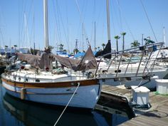 several sailboats docked at a marina with palm trees in the background